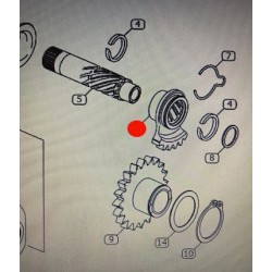 Pignone Arpione Messa in Moto VERTIGO